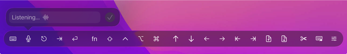 Dictation on iPad